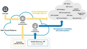 Identification-of-Risks-and-Management-Access