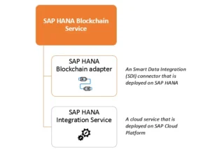 SAP-HANA