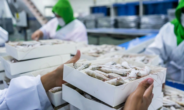 A UAE-based Fresh Packaged Seafood Joins Hand with Accely to Adapt to eCommerce Solution Based on Magento