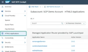 sap-btp-cockpit