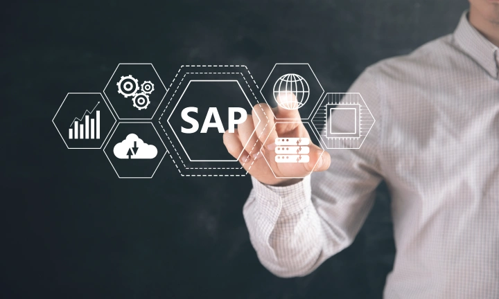 What Is Included In SAP Managed Services?