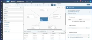 SAP-SAC-Planning-Input-Model