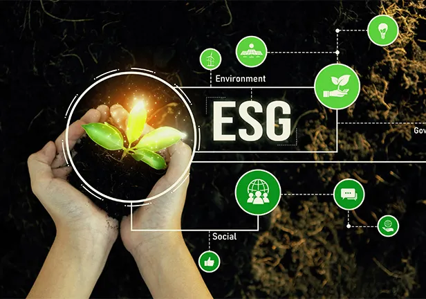 How Accely Can Help Advance Your Organization’s ESG & Wider Sustainability Journey