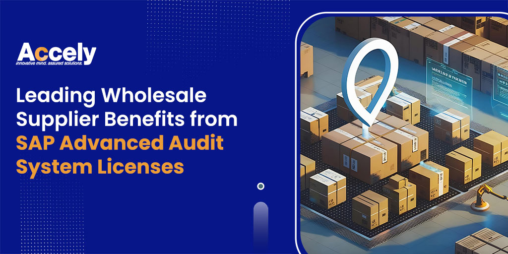 Leading Wholesale Supplier Benefits from SAP Advanced Audit System Licenses