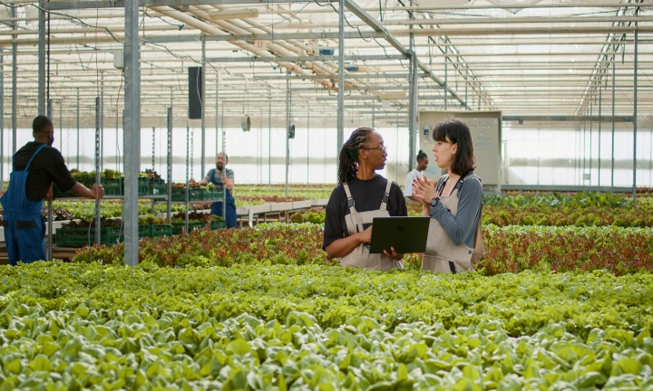 Africa's Agricultural Services Envisions Change with SAP Implementation