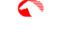 Eicher